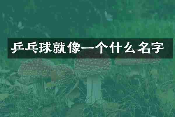 乒乓球就像一个什么名字