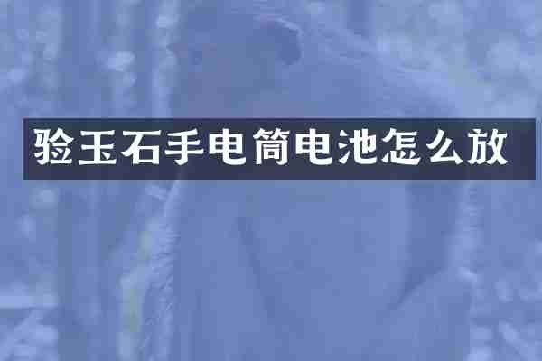 验玉石手电筒电池怎么放