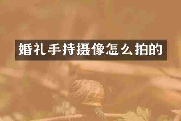 婚礼手持摄像怎么拍的