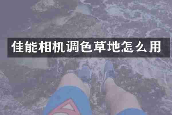 佳能相机调色草地怎么用
