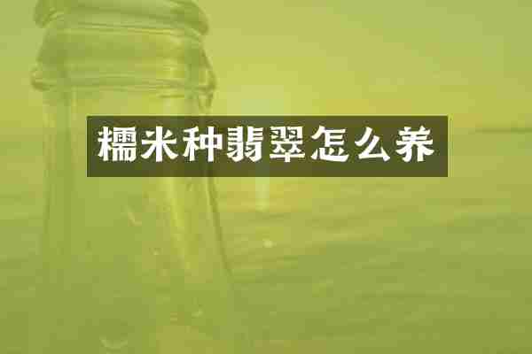 糯米种翡翠怎么养
