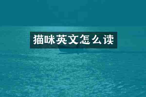 猫咪英文怎么读