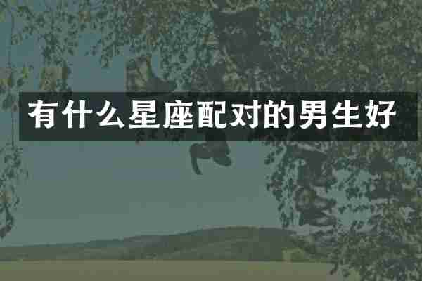 有什么星座配对的男生好