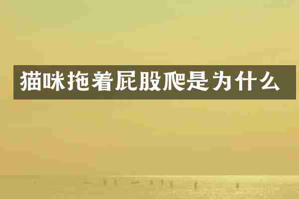 猫咪拖着屁股爬是为什么
