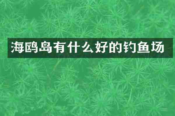 海鸥岛有什么好的钓鱼场