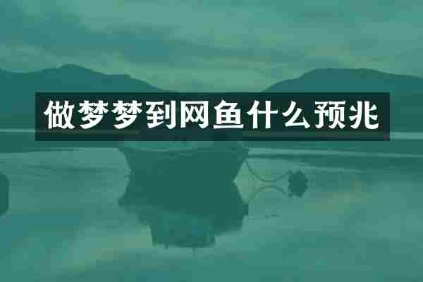 做梦梦到网鱼什么预兆