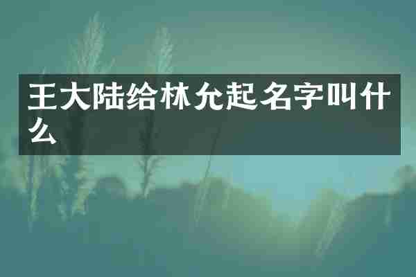 王大陆给林允起名字叫什么
