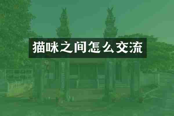 猫咪之间怎么交流