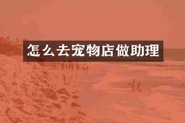 怎么去宠物店做助理