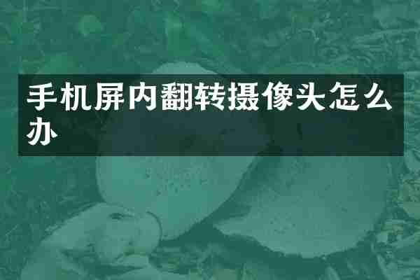 手机屏内翻转摄像头怎么办