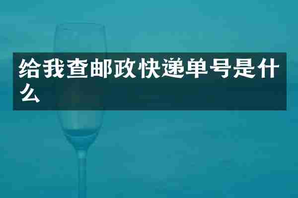 给我查邮政快递单号是什么