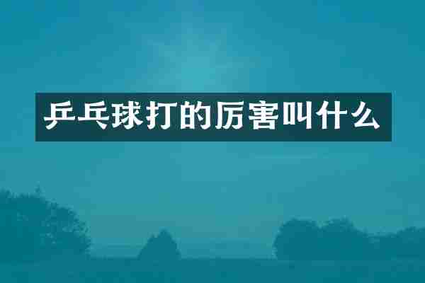 乒乓球打的厉害叫什么