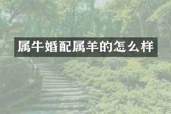 属牛婚配属羊的怎么样