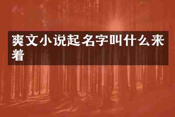 爽文小说起名字叫什么来着
