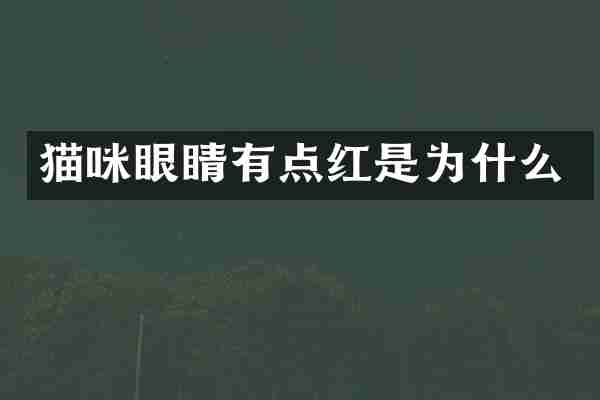 猫咪眼睛有点红是为什么