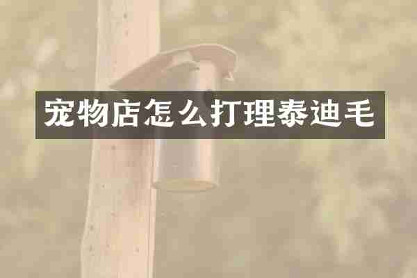 宠物店怎么打理泰迪毛