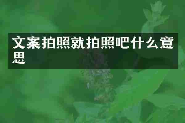 文案拍照就拍照吧什么意思