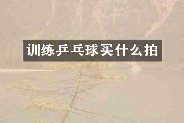 训练乒乓球买什么拍