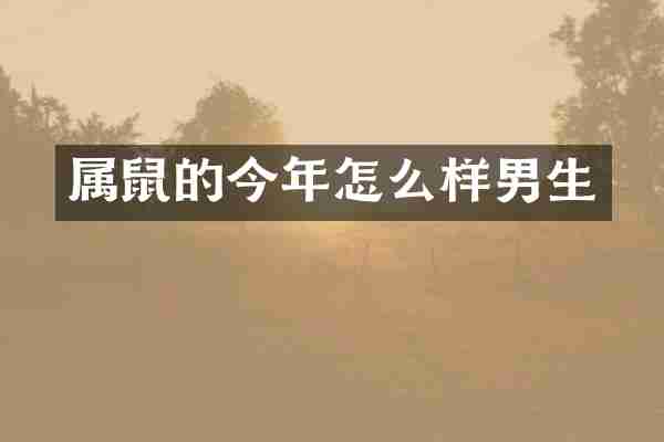 属鼠的今年怎么样男生