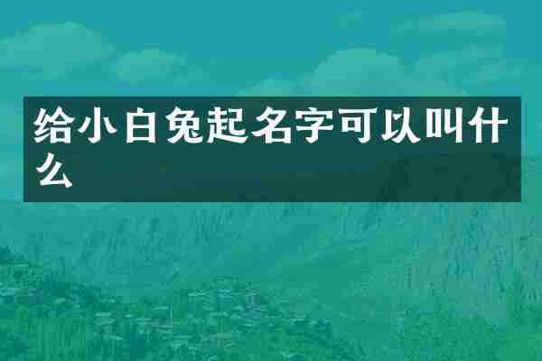 给小白兔起名字可以叫什么