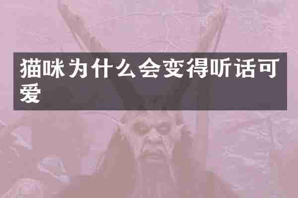 猫咪为什么会变得听话可爱