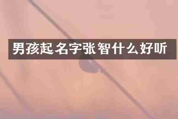 男孩起名字张智什么好听