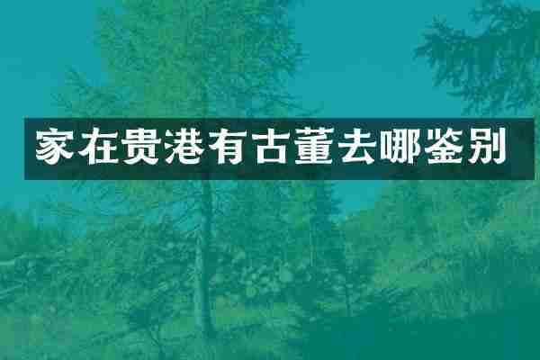 家在贵港有古董去哪鉴别