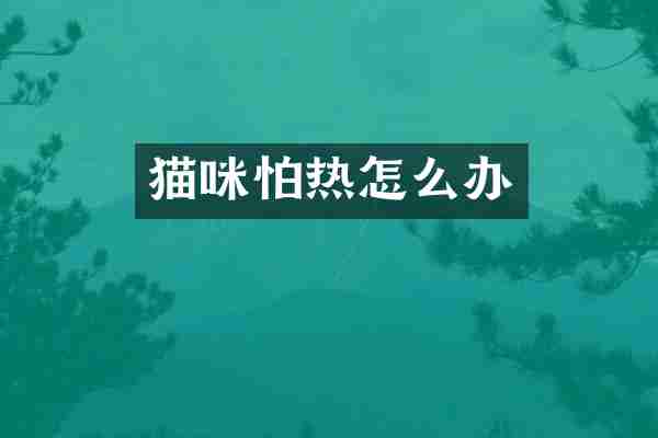猫咪怕热怎么办