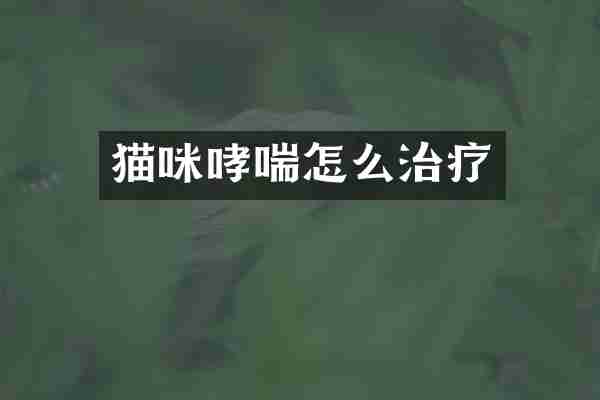猫咪哮喘怎么治疗
