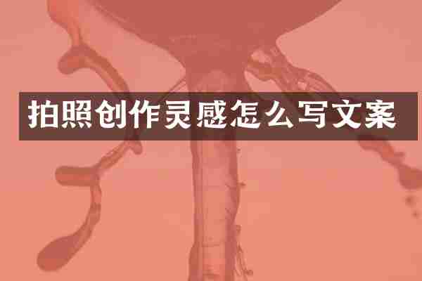 拍照创作灵感怎么写文案
