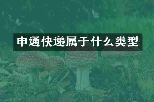 申通快递属于什么类型