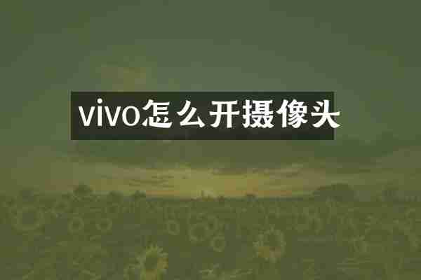vivo怎么开摄像头