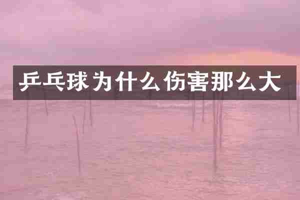 乒乓球为什么伤害那么大