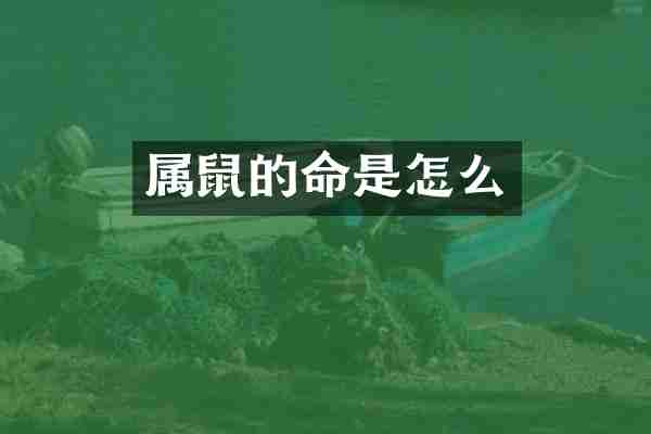 属鼠的命是怎么