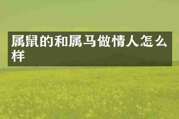 属鼠的和属马做情人怎么样