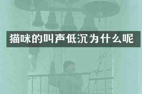 猫咪的叫声低沉为什么呢