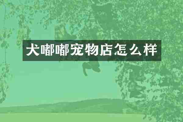 犬嘟嘟宠物店怎么样