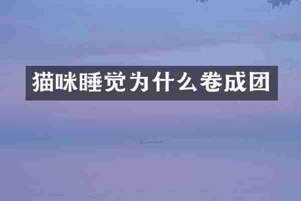 猫咪睡觉为什么卷成团