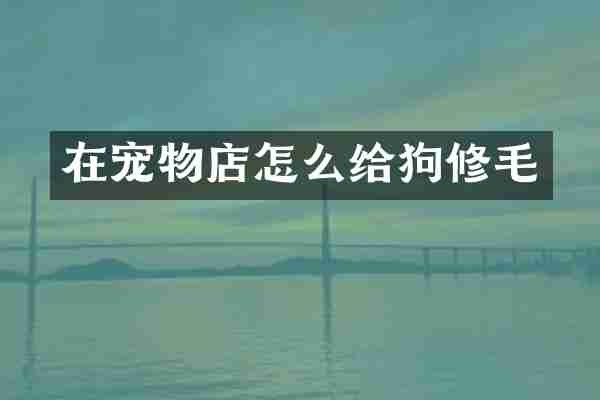 在宠物店怎么给狗修毛
