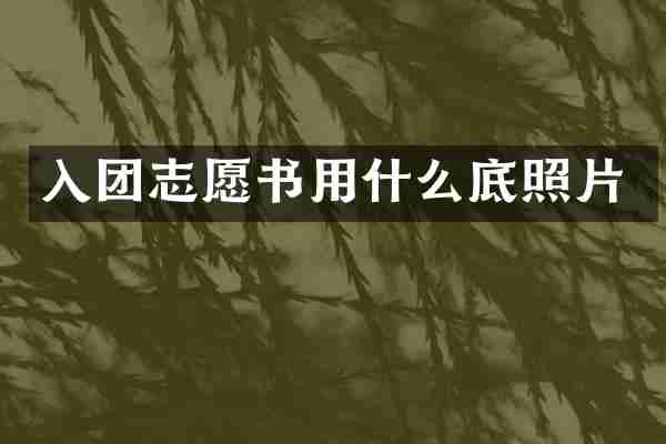 入团志愿书用什么底照片
