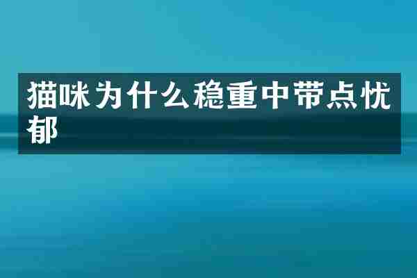 猫咪为什么稳重中带点忧郁