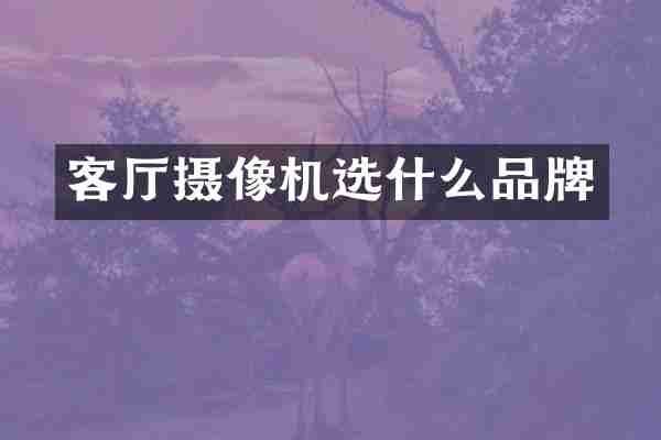 客厅摄像机选什么品牌