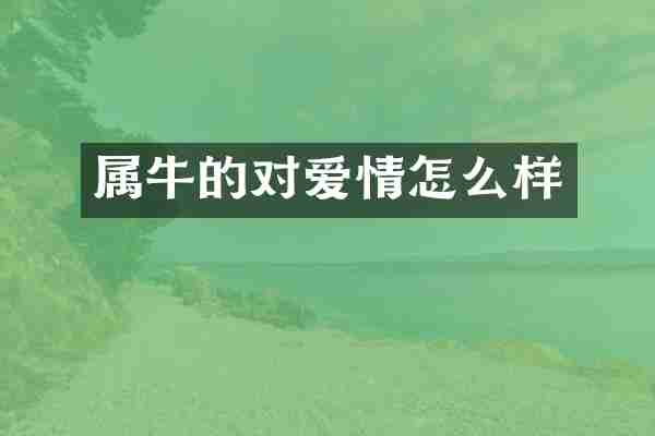 属牛的对爱情怎么样