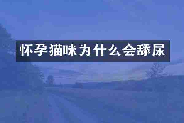 怀孕猫咪为什么会舔尿