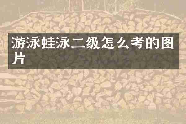 游泳蛙泳二级怎么考的图片