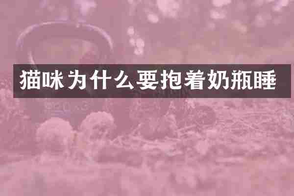 猫咪为什么要抱着奶瓶睡