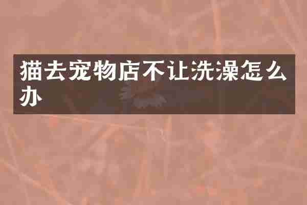 猫去宠物店不让洗澡怎么办