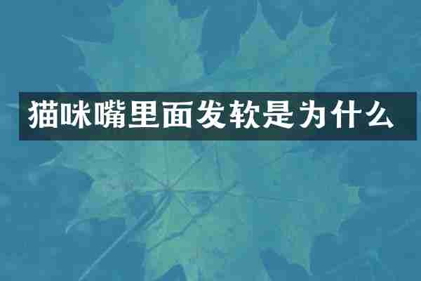 猫咪嘴里面发软是为什么