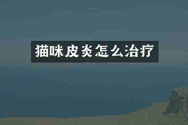 猫咪皮炎怎么治疗