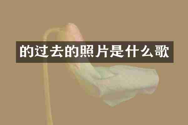 的过去的照片是什么歌